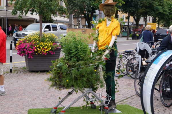 Bruneck, Einkaufswagen mit Blumen