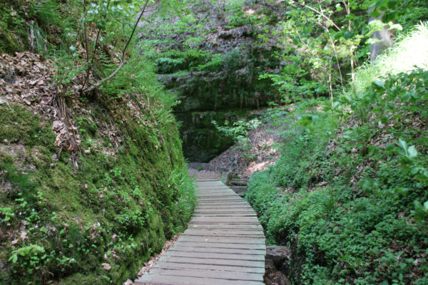 Holzweg durch die Drachenschlucht