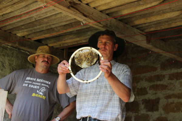 Andreas Heidinger mit Rähmchen der Bienenkugel