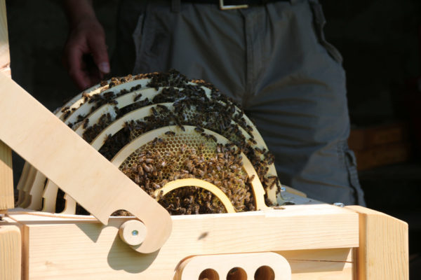 Bienenkugel von Innen