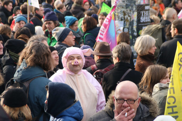 Wir haben es satt 2017 (Berlin): Kostüme auf Demo